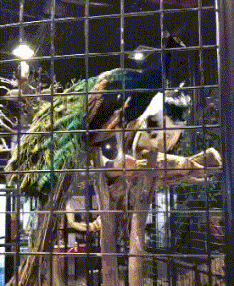 时尚炫点 女朋友一直给我喝这个,瓶身上啥标识也没有,这是什么东西啊各位?