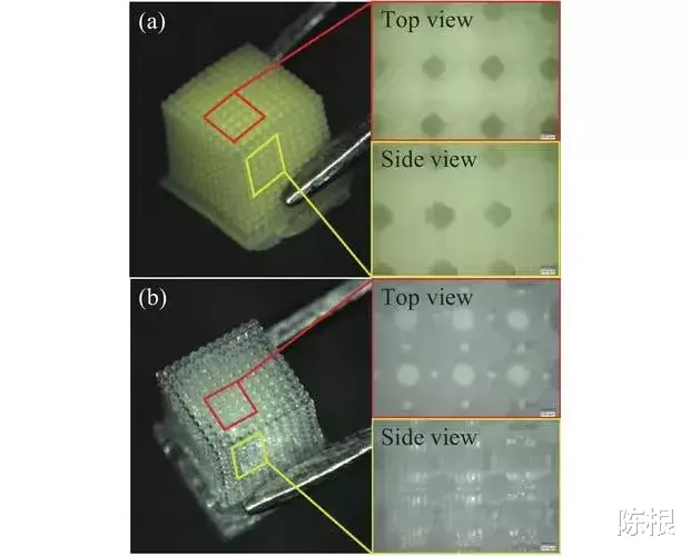 陈根:4D添加新技术,物体可“自动”转变形状