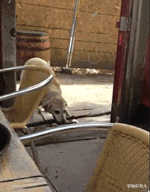 学姐说育儿|家里新装了监控，没来得及跟老婆说就出差了，结果绿的明明白白！