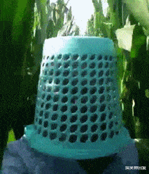 搞笑神回复|神回复：“如何才能在学校一夜成名？”网友：兄弟真厉害啊！