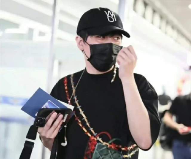 王鸥|王鸥最新动向曝光,被网友发现和何九华同款手机壳