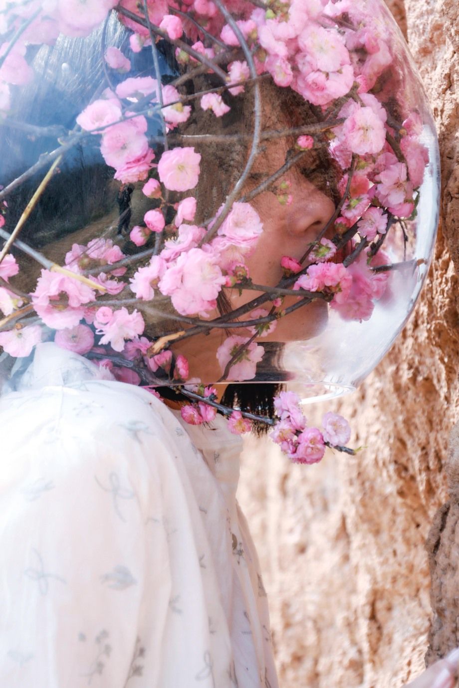 盛开 摄影师 老默