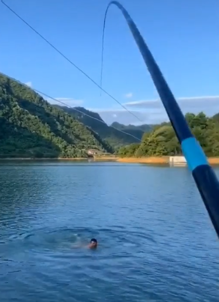 鳄鱼|佛山网友黄飞鸿附身,钓鱼时勇擒鳄鱼,就问其他钓友服不服