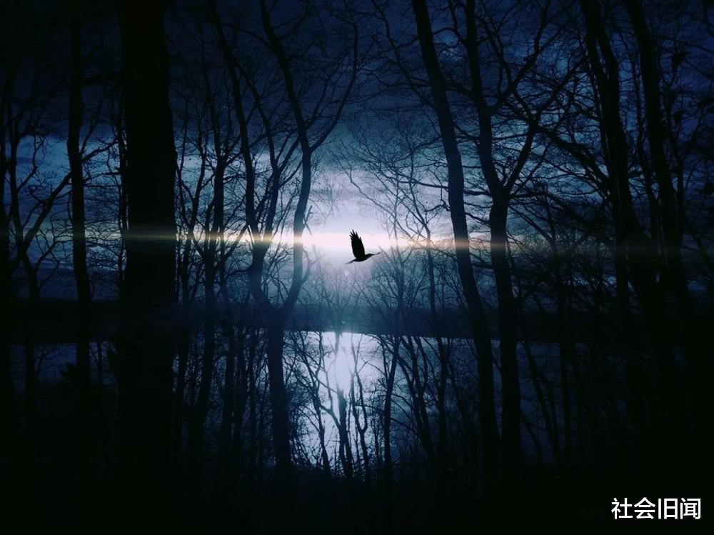 科学家 万一外星人真实存在，而我们之所以找不到它们，其实背后的原因很深奥