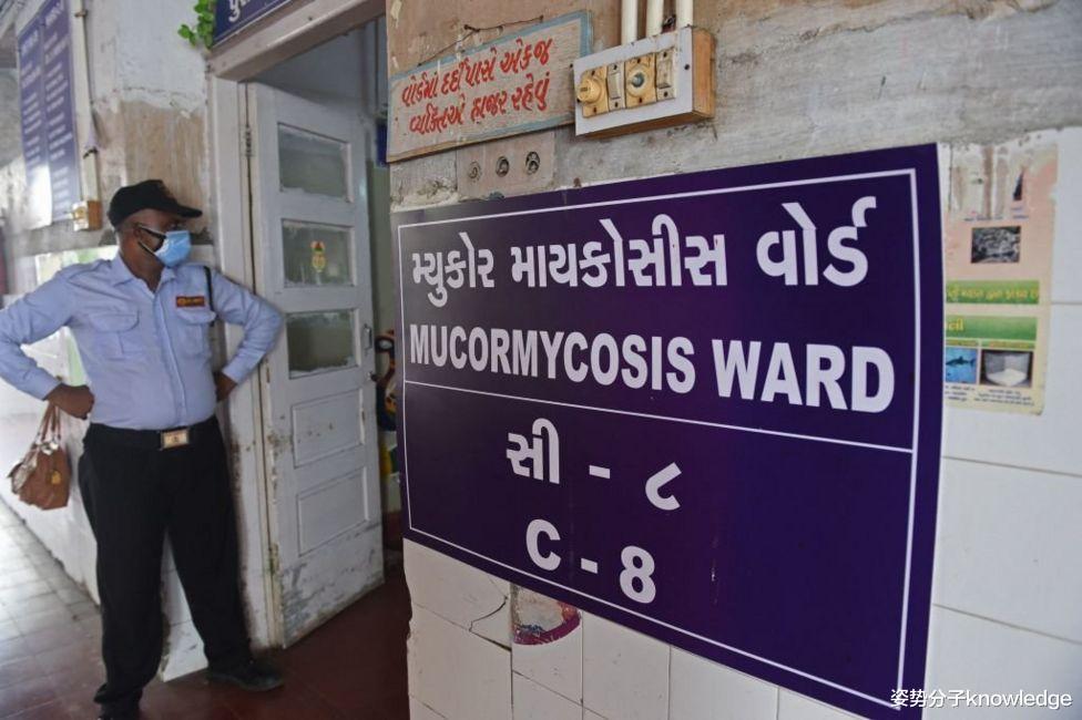 印度爆發毛黴菌病，超20000人感染，致死率達50%，這是什麼病？-圖3