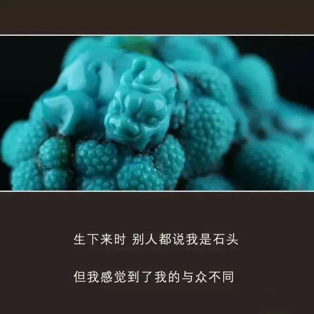 文玩|男人，玩珠子错不了