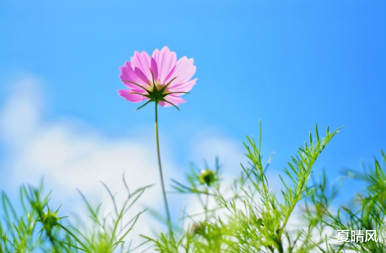  恭喜那些从不发朋友圈的人