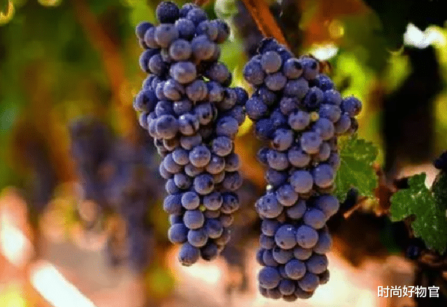 萝卜|女性衰老“5丑态”，若想年轻，多吃3物+1运动，或能“延缓衰老”