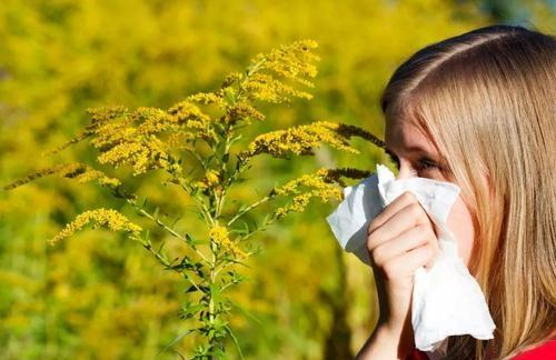 幸福如猪|小儿鼻炎，日常生活应该注意哪些细节？