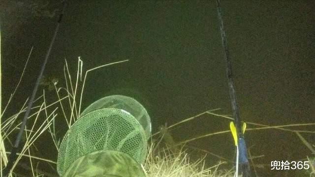南昌|江西一男子夜钓“好运”连连，差点将一条蛇带回了家，来源却成谜