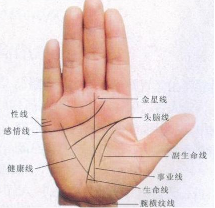 玄何师傅讲命理 “手如干姜，家道必昌”，这种手相的女人，注定一辈子不缺钱花