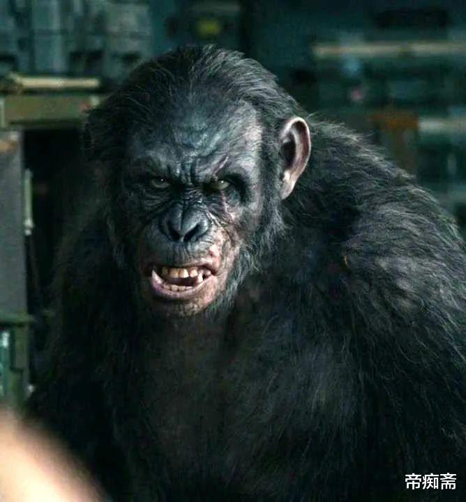 科学家 为生而战，无可避免——看《猩球崛起：黎明之战》中的鲜明角色