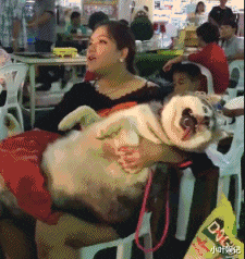 小叶娱记|为什么孙悟空师兄弟取经途中不变成凡人模样,这样不就不吓人了吗?