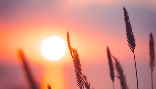 生态环境保卫者|能改变，肯放下的星座，始终不缺重来的勇气，更能谦逊地活着