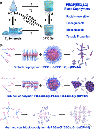 生物降解 贺超良/陈学思院士：快速热可逆和可生物降解的多肽水凝胶