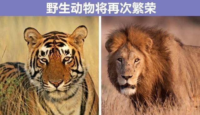 动力 科学假设：如果人类全部消失，地球将会发生哪些“可怕”变化？