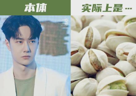 赵丽颖|“酷盖”王一博被全网调侃最新造型像某种坚果,可盐可甜,太苏了