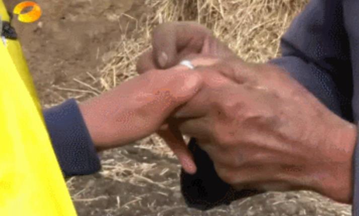 王晨正|变形计最苦的善良爷爷:早年丧妻,老年丧子,晚年丧孙