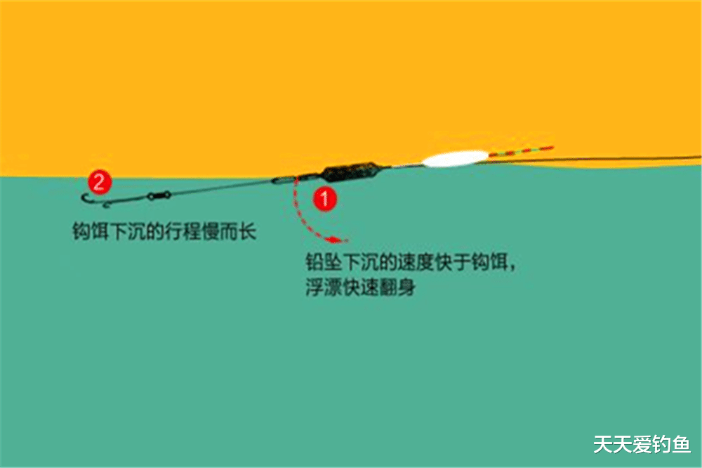 |冬钓鲫鱼4字要诀，“吃”透了轻松爆护，你学不学？
