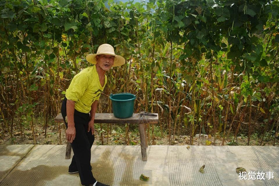 大爷 69岁大爷卖柴卖工养“弃婴”23年，终身不娶，看生活成啥样