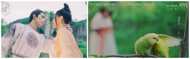 吻戏|吻戏为何只拍上半身？镜头下移后的场景，你一看就明白了！