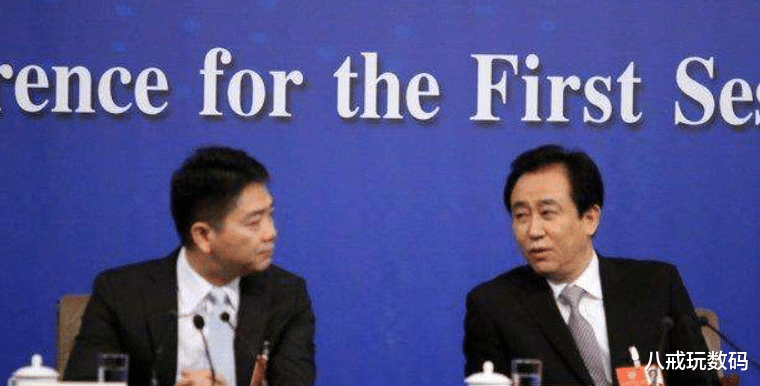 阿姆斯特丹|许家印:刘强东,京东财报年年巨亏,为何没啥事?