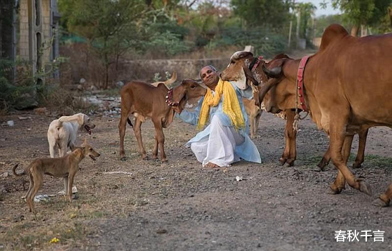 青山湖 印度富豪抛弃妻子和两个孩子，花18万跟母牛结婚，多疯狂才能这样