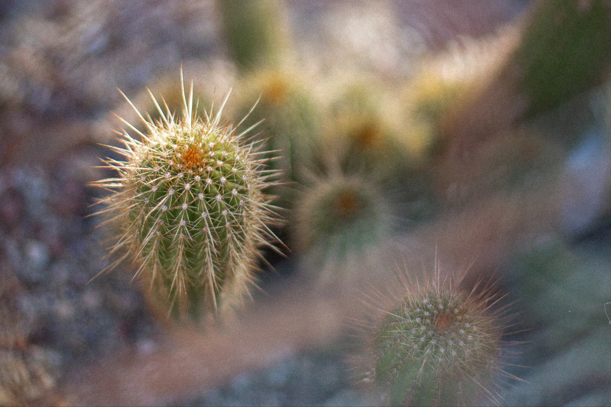 本人讲星座|7月底，反反复复，分分合合，抓住机遇，3星座主动复合，破镜重圆