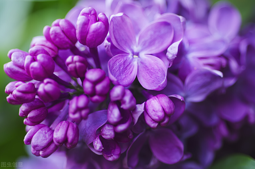 穿衣搭配|太阳下最光辉的职业,变成“人人声讨”,教师为何成这样?