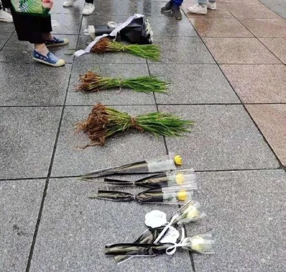 给我扣个鸡腿 中国“杂交水稻之父”袁隆平在湖南逝世，全国人民沉痛哀悼