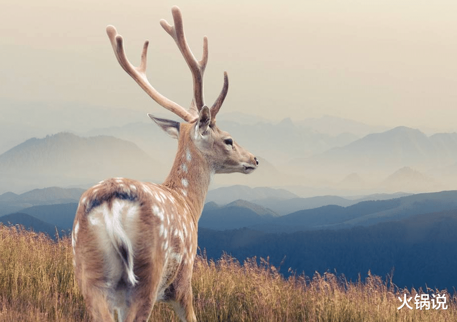 |人在低谷时，尽量少说这三种“泄气话”，当心把好运挡在门外