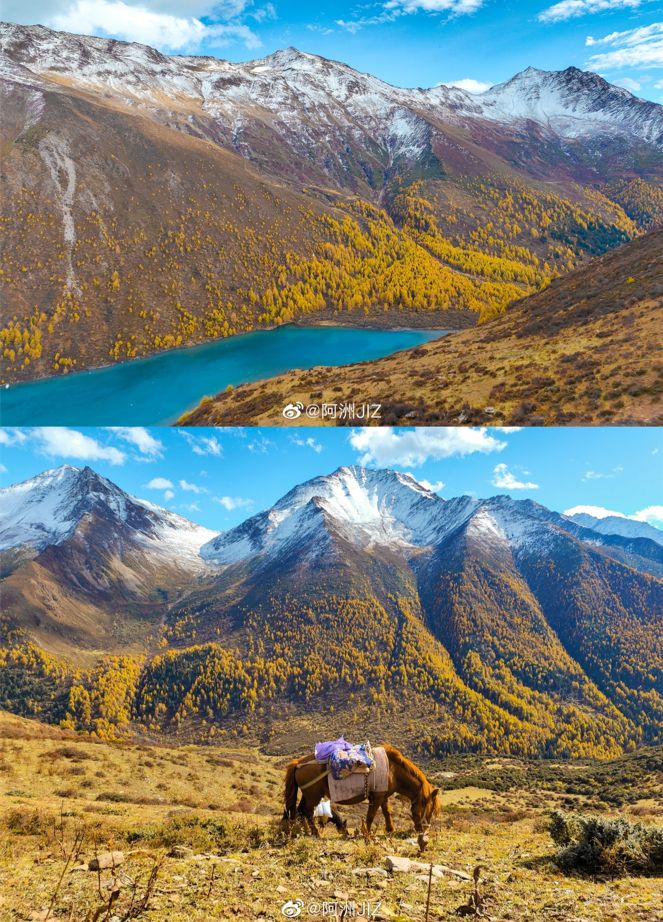 |用X70 Pro+拍照,可以少看十篇手机摄影技巧,是真的吗?