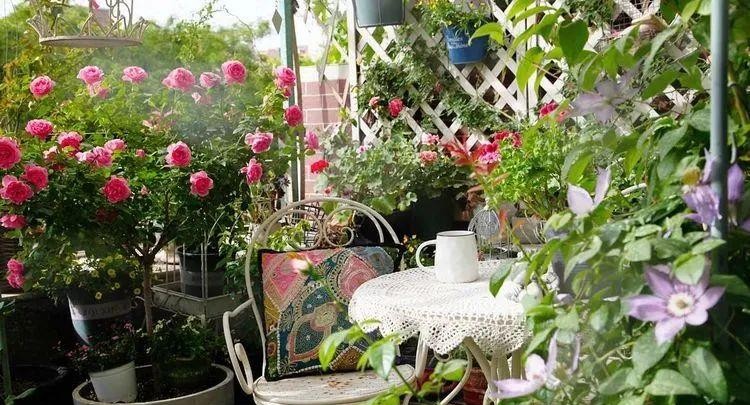 为了建花园，买了个带40㎡露台的顶楼房，入住四年如今美成了画