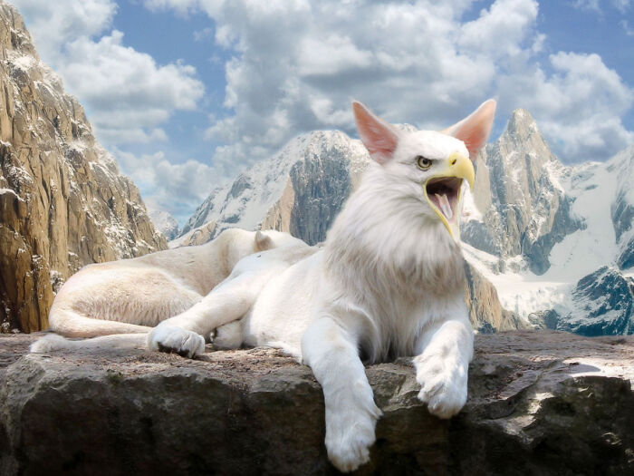  将动物组合在一起，有可爱的，有恐怖的，但它们都很有趣