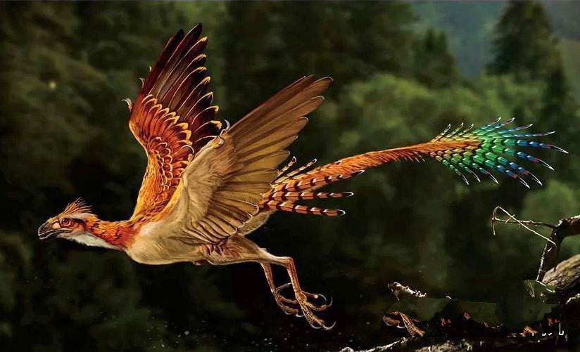 恐龙 恐龙并未灭绝，它们活跃在天空，成为人类宠物，甚至被端上餐桌