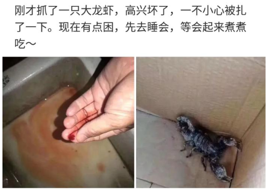 癌细胞 “如果艾滋病毒和癌细胞对着干，人类是不是就无敌了？”