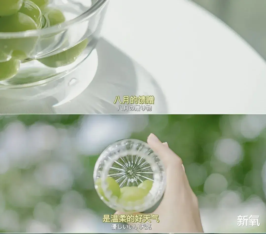 杨洋|她是最接近美商顶峰的颜，至今无人敢仿