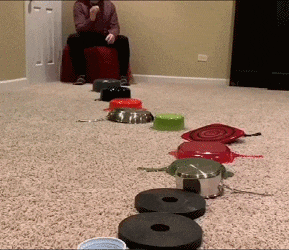 萌萌萌说|白素贞飞行的时候为什么要把一只手往前伸?哈哈哈哈原来是这样~