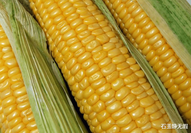 运动|这5种杂粮越吃越瘦，最后一种最好，却经常被人忽视，了解一下！