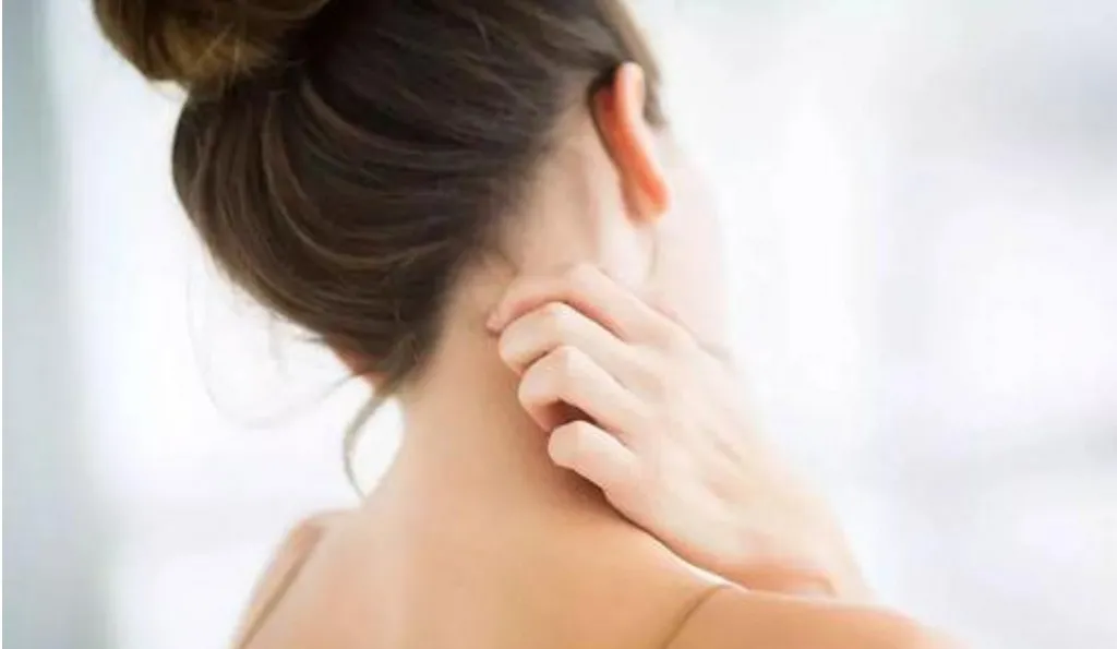 经络|中医：上焦火、下焦寒，根本原因在于中焦不通