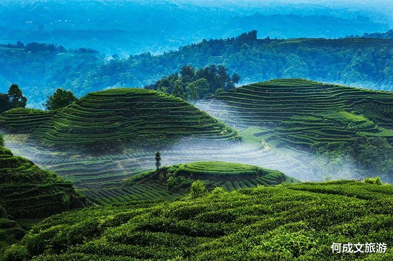 四川省 与峨眉山齐名的景区,年均温15度左右,是“避暑佳地”,就在四川