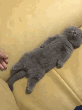 睡眠|睡觉姿势不对易伤身！同种姿势，有人受益，有人千万不能试