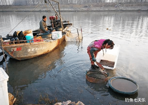 |钓鱼人眼中的诱饵,河底捞虫人眼中的“黑金”!靠捞虫子日入过万