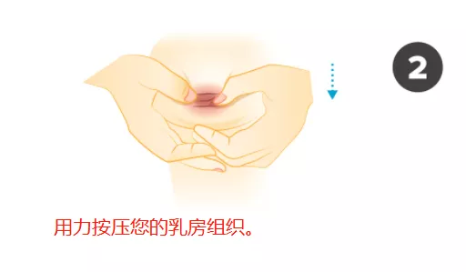 婴幼儿常识|国药育儿知识：女孩子乳头一个变化，年龄越大越当心！