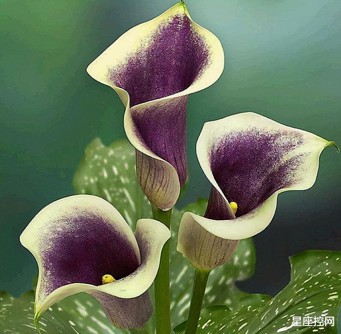 |哪几个日子降生的人，年底一过，一顺到底，奖金丰厚，家庭和谐！