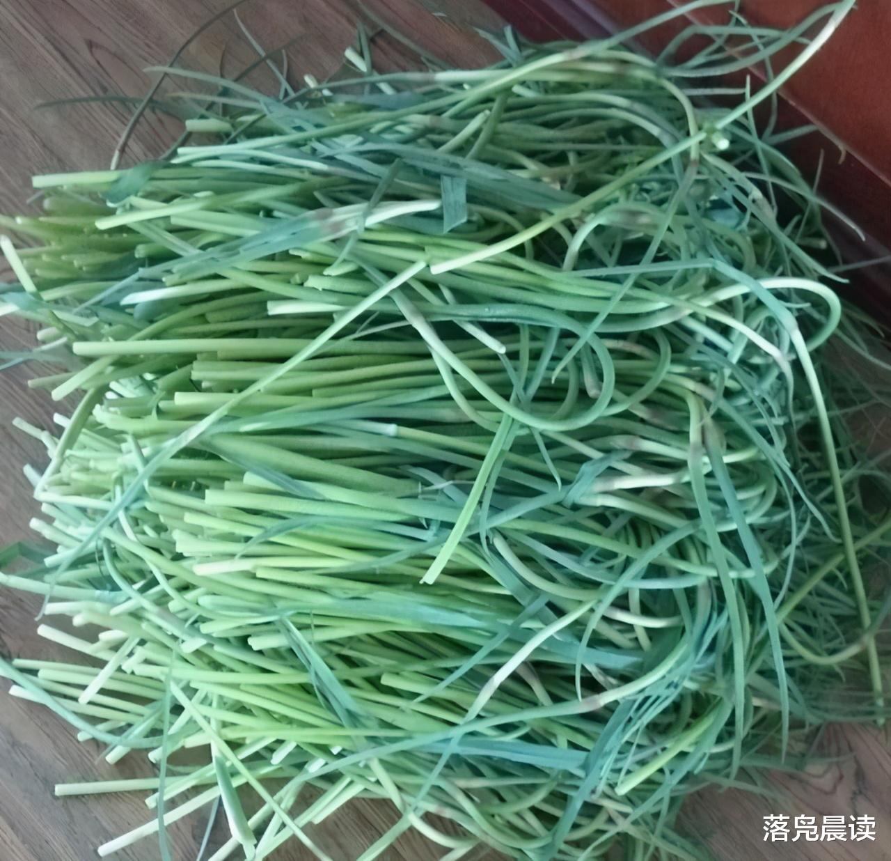 落凫晨读 截胡！美女开车半路拦人救急  事关大部分中牟人的美好明天