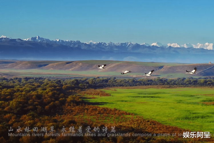 粉色|一觉醒来就能听见周深的歌声，这种感觉真的很Nice