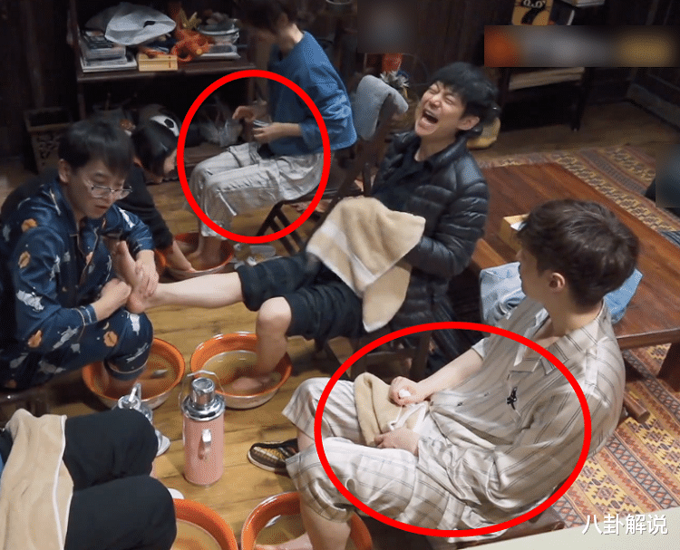 杨紫|张艺兴与杨紫录节目不避嫌，同种一棵树不算什么，还穿同款睡裤