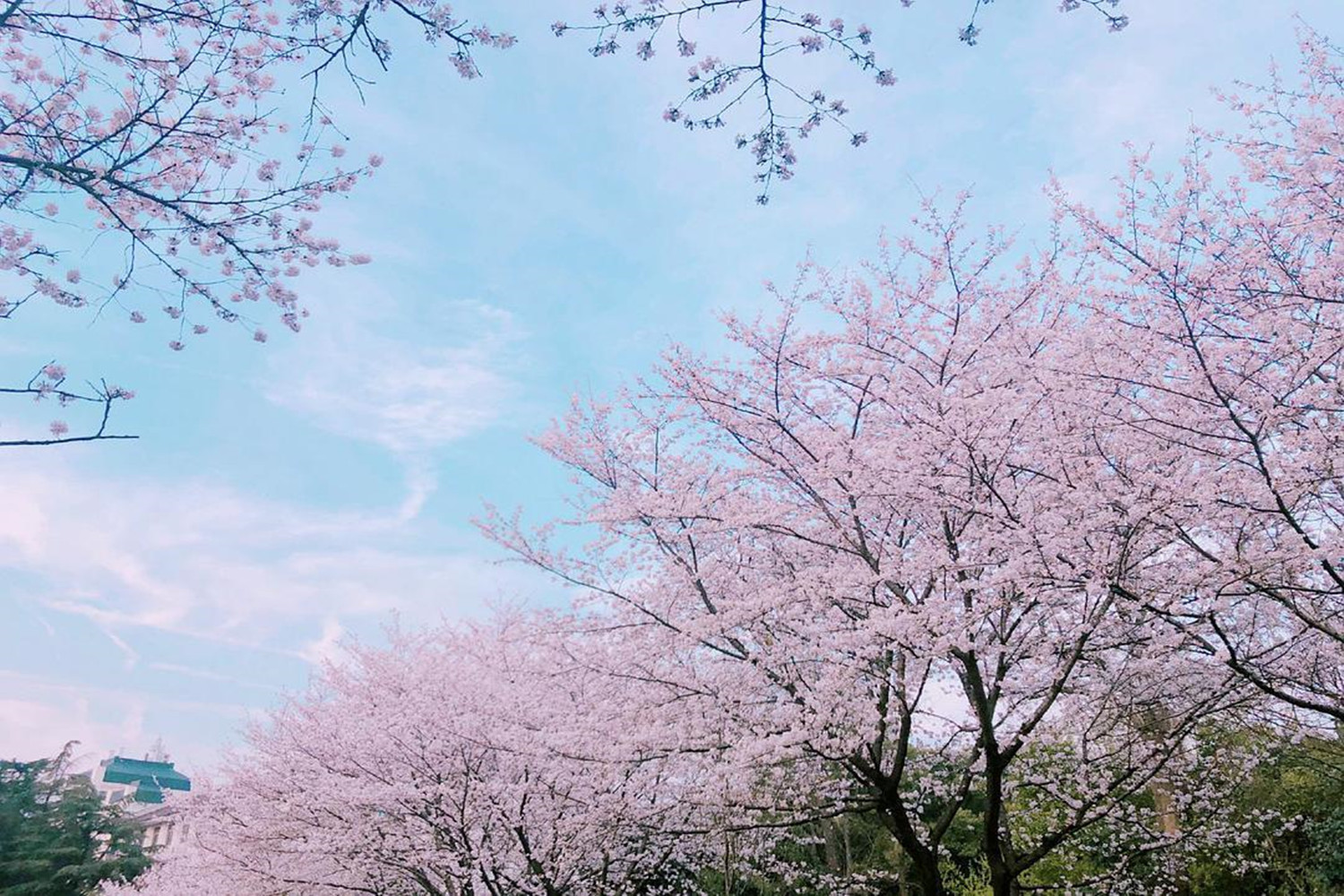 扬州 三月份适合旅游的城市，推荐这四大好去处，感受春日好时光