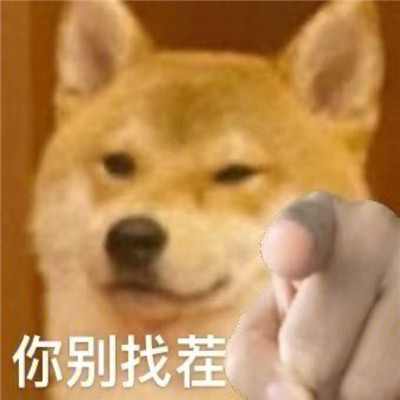 桉月|狗狗爆笑的聊天表情合集